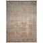 Vintage-inspired rectangular area rug with distressed beige patterns and motifs.