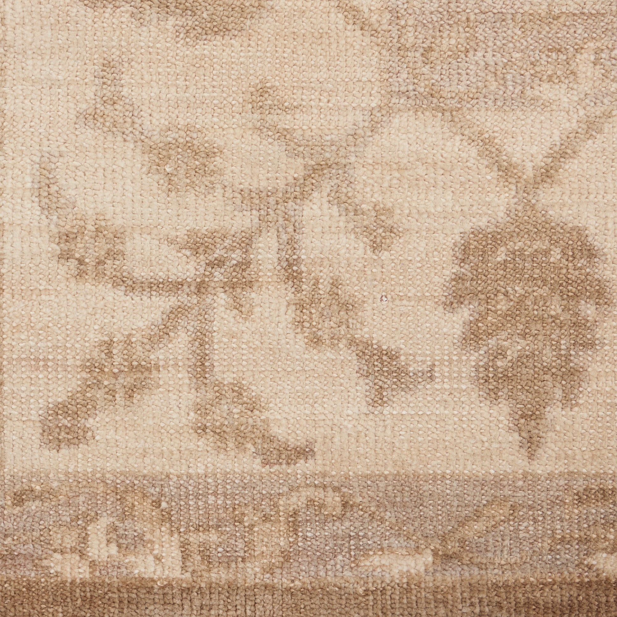 Close-up of a plush, neutral carpet with a floral design.