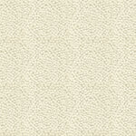 Image description: Unfortunately, the image cannot be displayed at this time.