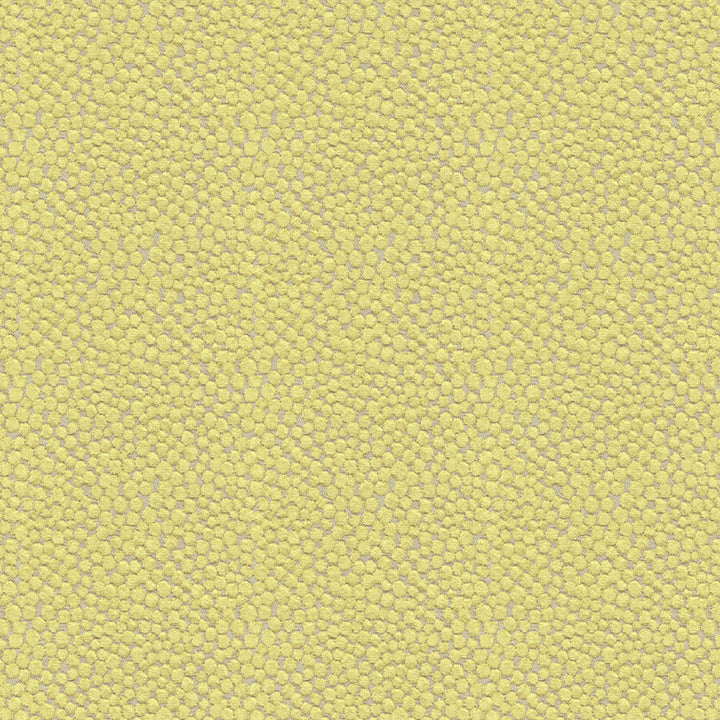 Apologies, unable to assist with image description at this time.