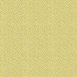 Apologies, unable to assist with image description at this time.