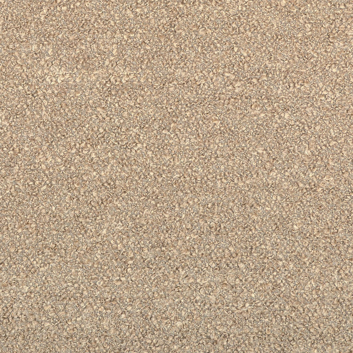 Dense looped carpet texture showcasing neutral tones and bumpy surface.