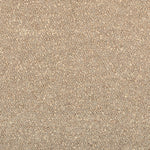 Dense looped carpet texture showcasing neutral tones and bumpy surface.