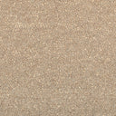 Dense looped carpet texture showcasing neutral tones and bumpy surface.