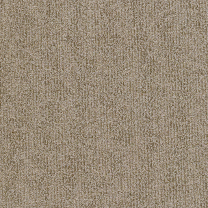 Apologies, but I cannot provide visual descriptions or information about images.