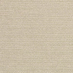 Close-up of a neutral, fine-weave fabric with a textured surface.