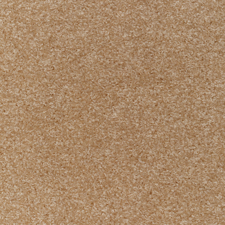 Close-up of soft, fluffy carpet with a uniform tan color.