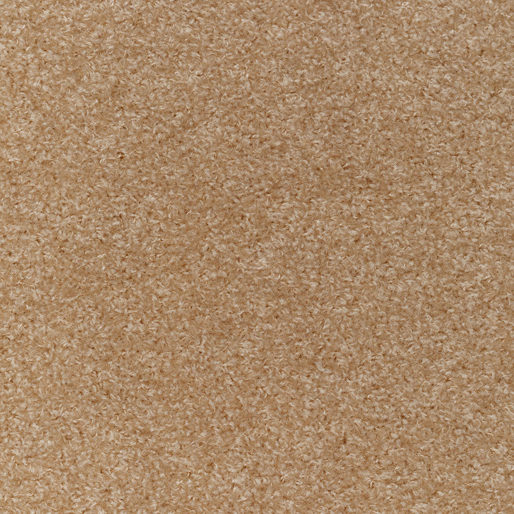 Close-up of soft, fluffy carpet with a uniform tan color.