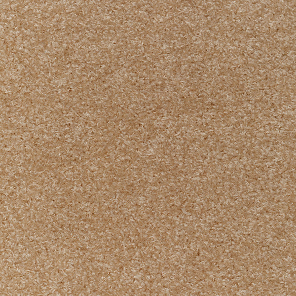 Close-up of soft, fluffy carpet with a uniform tan color.