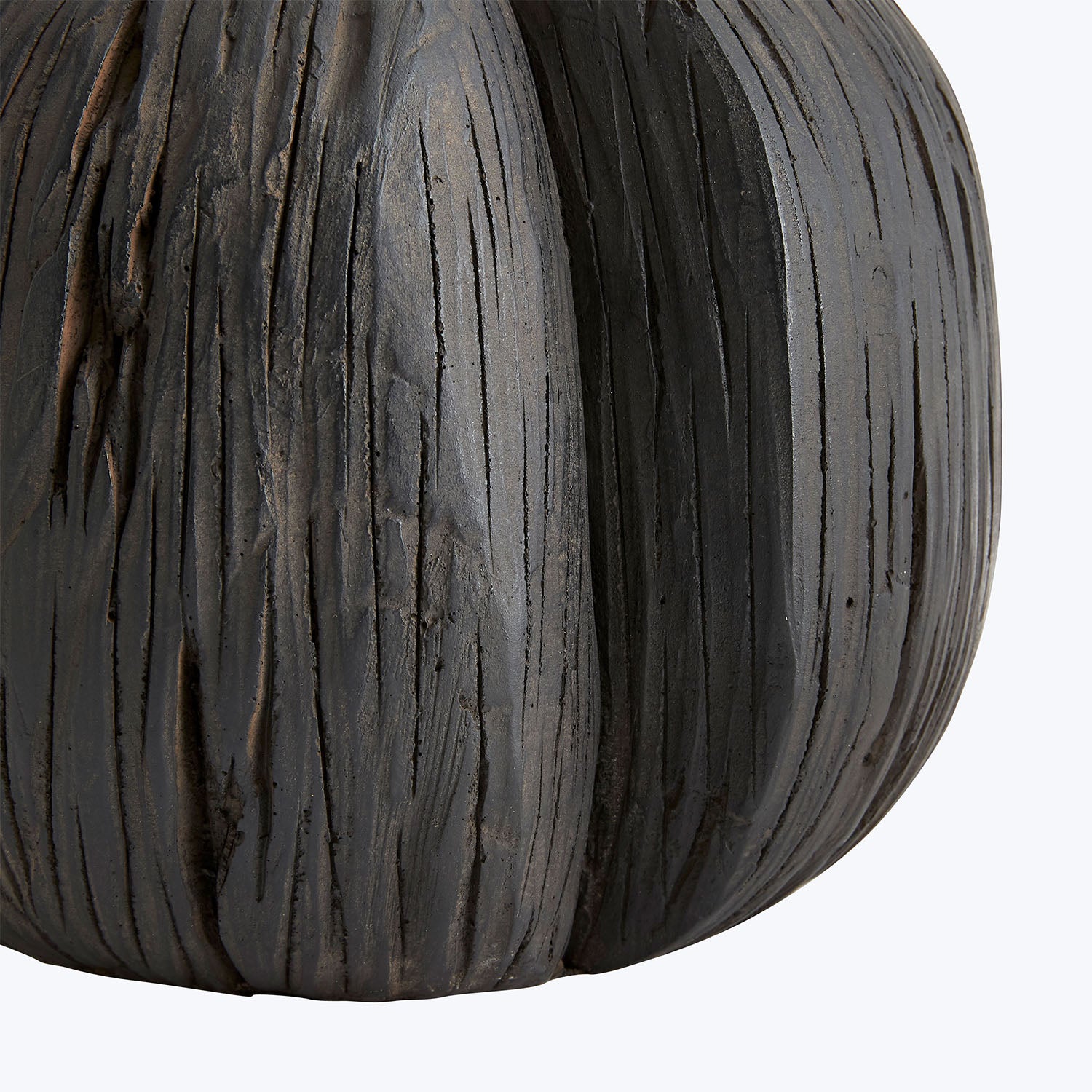 Close-up view of a striated, curvilinear object with wood-like texture.