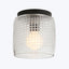 Contemporary ceiling light fixture with translucent shade and matte finish.