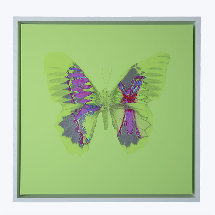 Aura Green Artwork 60 cm x 60 cm / Flourescent Green