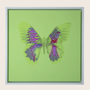 Aura Green Artwork 60 cm x 60 cm / Flourescent Green
