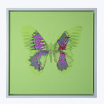 Aura Green Artwork 60 cm x 60 cm / Flourescent Green