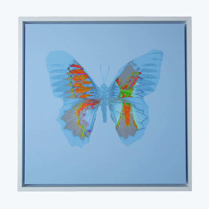 Colorful butterfly artwork in light frame on pale blue background.