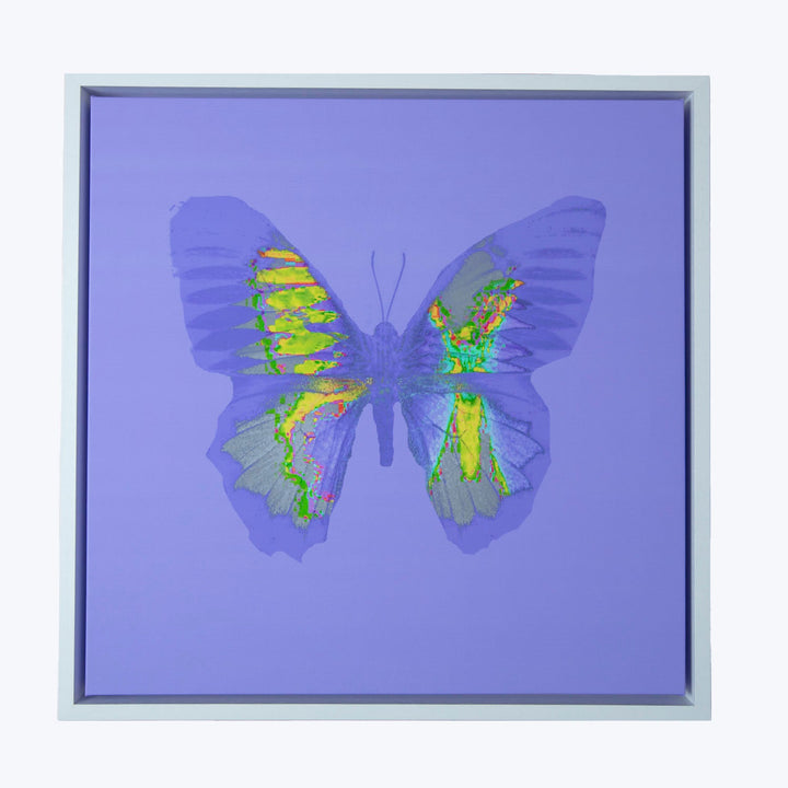 Vibrant abstract butterfly artwork in silver frame on lavender background.