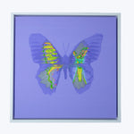 Vibrant abstract butterfly artwork in silver frame on lavender background.