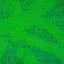Close-up photograph of a vibrant green, textured fabric surface.