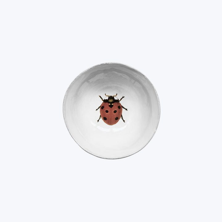 Vibrant red ladybug with black spots in white curved bowl.