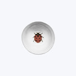 Vibrant red ladybug with black spots in white curved bowl.