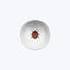 Ladybug Small Soup Plate