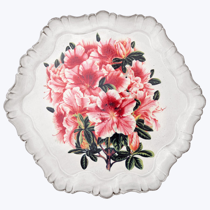 Decorative plate with scalloped edges featuring vivid pink floral design.