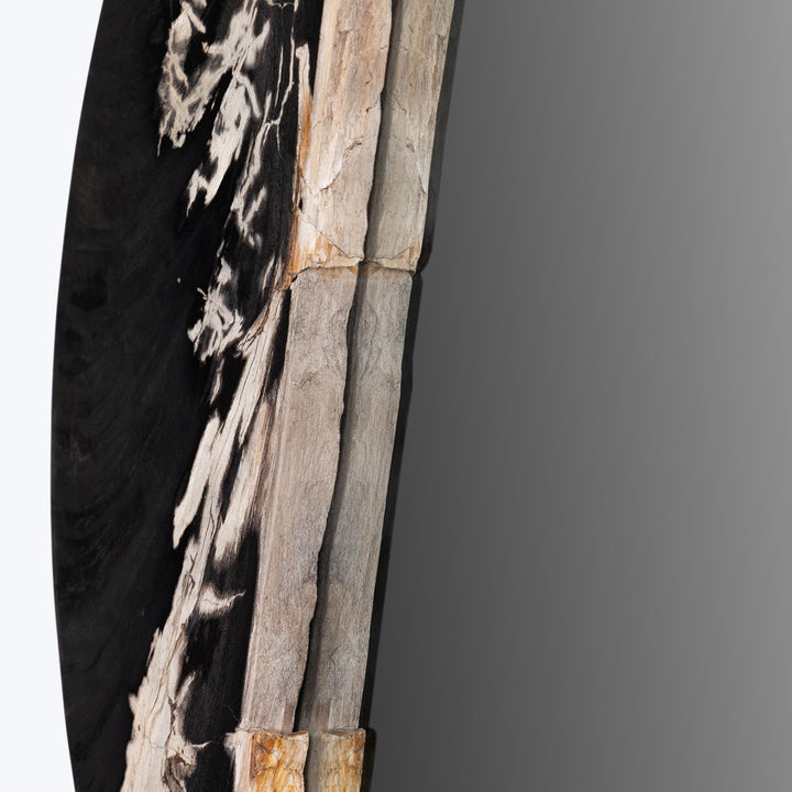 Petrified Wood Accent Mirror Default Title