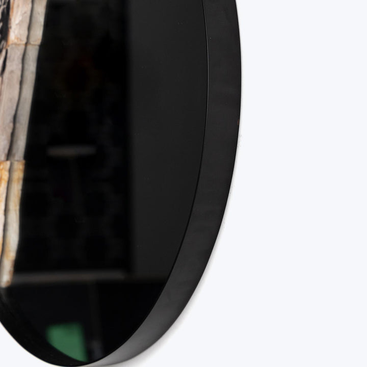 Petrified Wood Accent Mirror Default Title