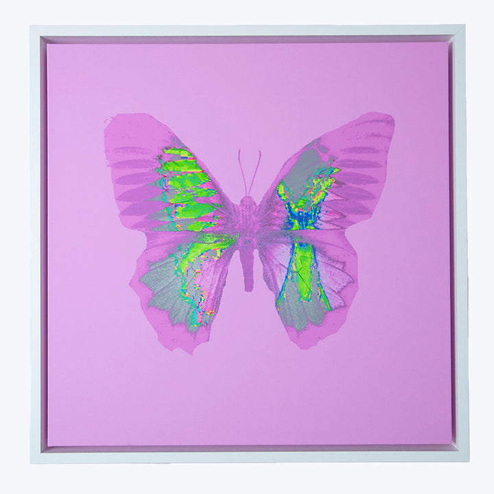 Colorful stylized butterfly artwork in white frame on pink background.
