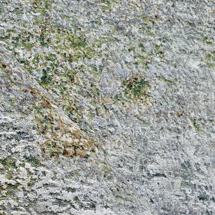 Modern Arya Rug - 8'11" x 12'1" Default Title