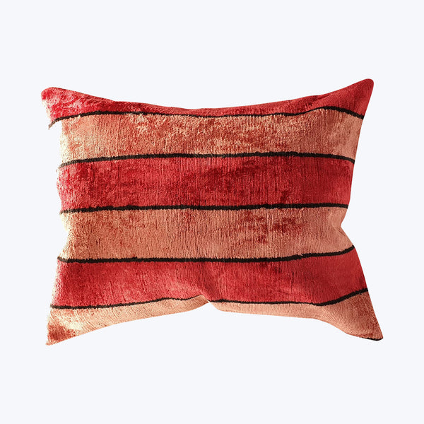 Abc 2025 home pillows