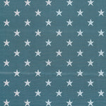 Starland Wilton Carpet, Aqua Default Title