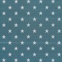 Starland Wilton Carpet, Aqua Default Title