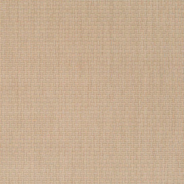 Brandyce Stria Wilton Carpet, Bisque Default Title