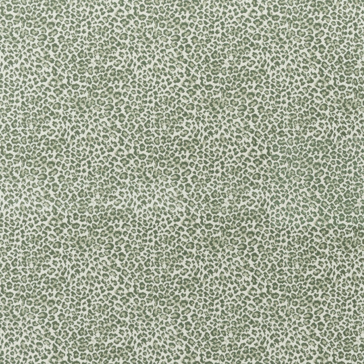 Wildcat Wilton Carpet, Grass Default Title