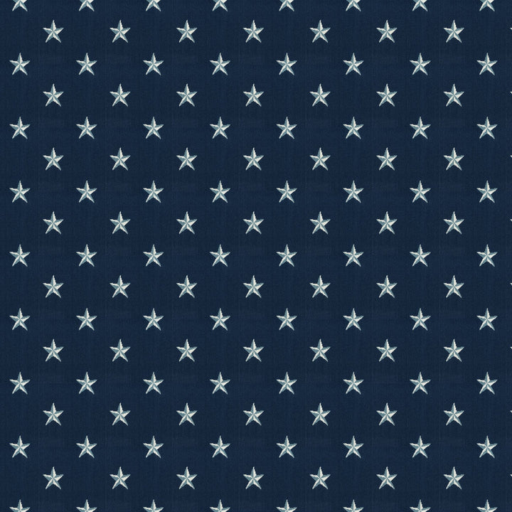 Starland Wilton Carpet, Ink Default Title