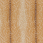 Antelope Loop Pile Wilton Carpet, Stock Default Title