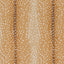 Antelope Loop Pile Wilton Carpet, Stock Default Title