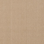Brandyce Wilton Carpet, Wht / Arizona Default Title