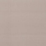 Trista Velvet Carpet, Griege Default Title