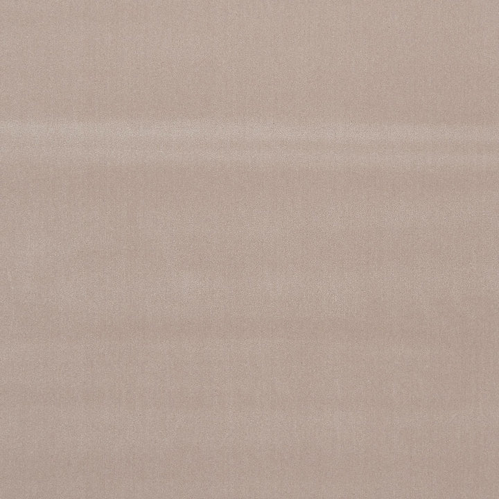 Trista Velvet Carpet, Taupe Default Title