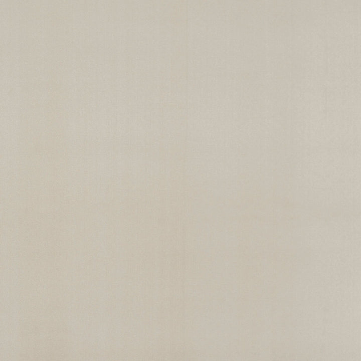 Avani Tufted Carpet, Champagne Default Title