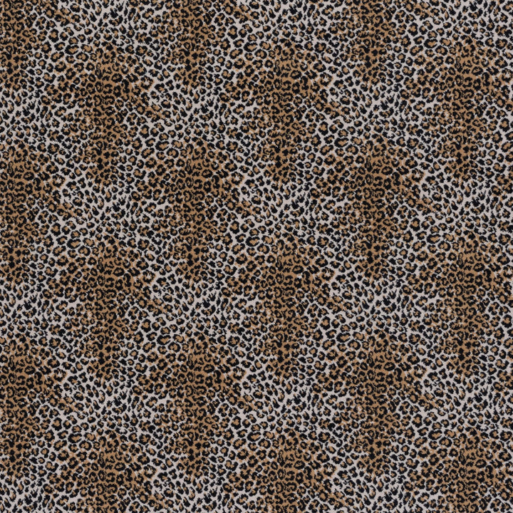 Leopard Cut Pile Wilton Carpet, Stock Default Title