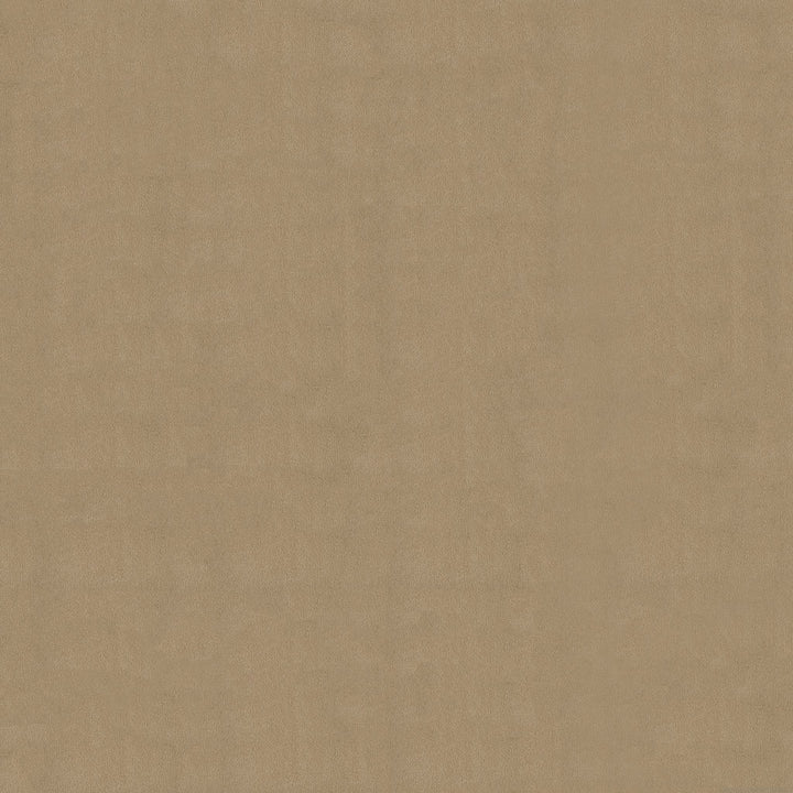 Indy Tufted Carpet, Barley Default Title