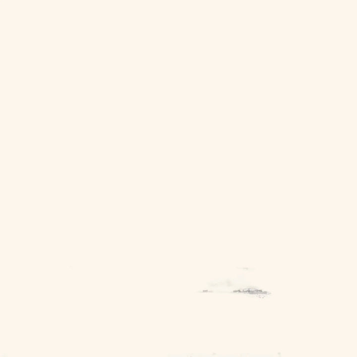 Liona Face-To-Face Wilton Carpet, Pearl Default Title
