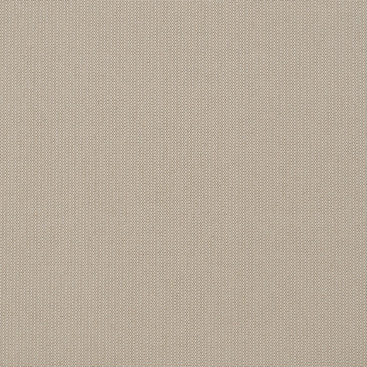 Amadeo Flatweave Machine-Made Carpet, Ivory Default Title