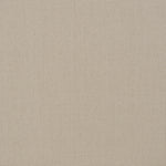 Amadeo Flatweave Machine-Made Carpet, Ivory Default Title