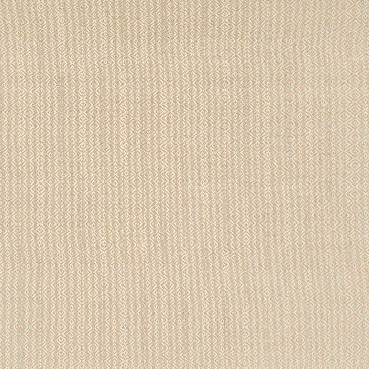 Giselle Flatweave Machine-Made Carpet, Linen / White Default Title