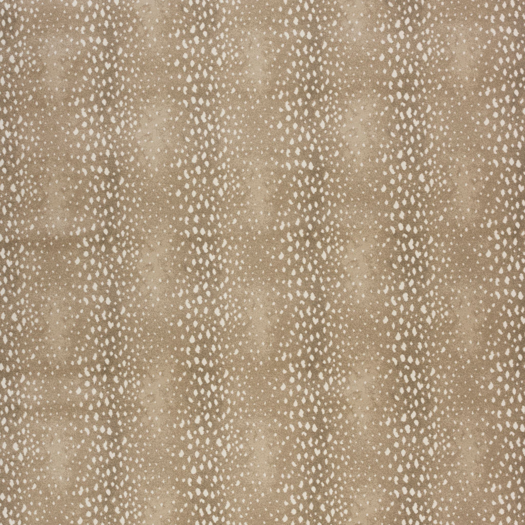 Antilocarpa Face-To-Face Wilton Carpet, Almond Default Title