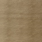 Visayan Face-To-Face Wilton Carpet, Almond Default Title